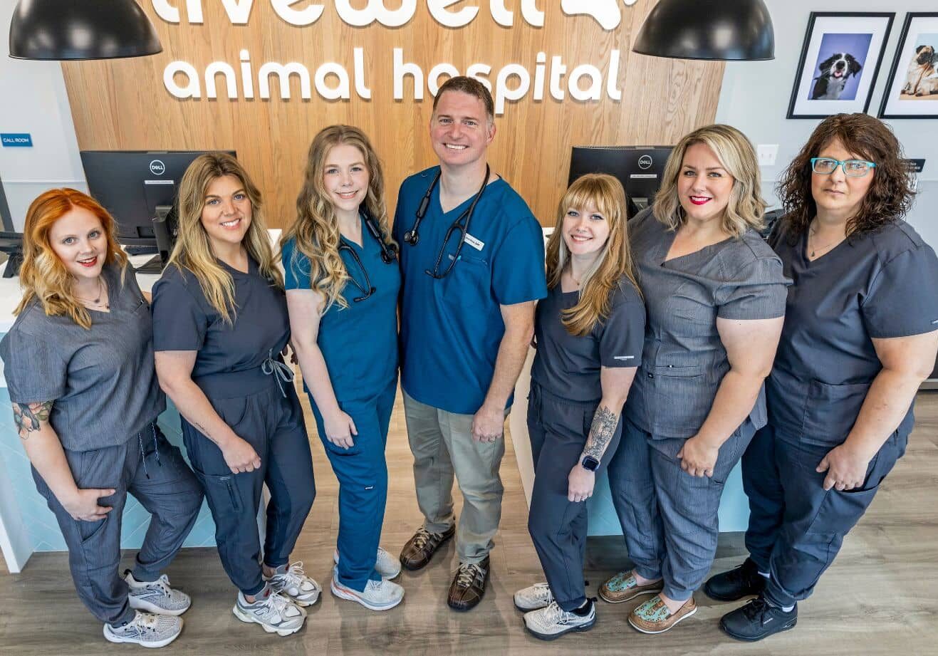 Livewell Animal Hospital of Edmond's team standing in front of the receptionist area together